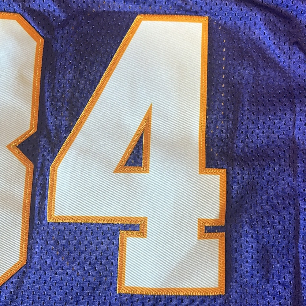 Randy Moss Minnesota Vikings jersey - Picture 3 of 5